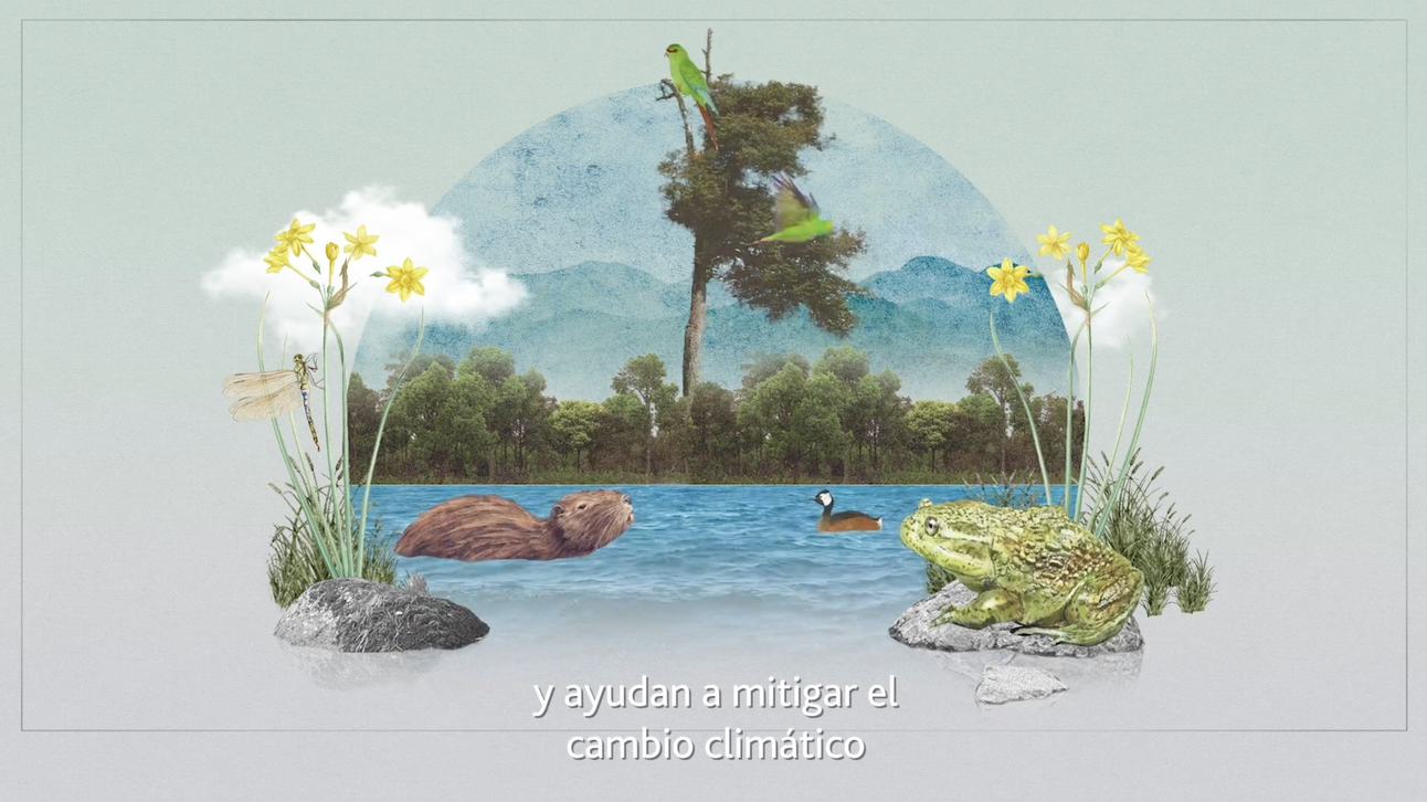 Gobierno de Chile - Humedales Costeros